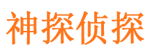 平桥市私家调查